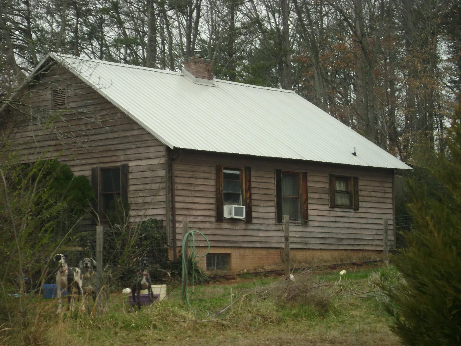 White metal roof on an old wood sided farmhouse, from a Asphalt Shingle Roof Repair job in Avon
